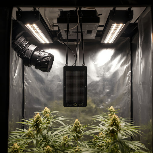 Carbon Filter 100 mm (4″) – Odor Control for Grow Tents (Black)