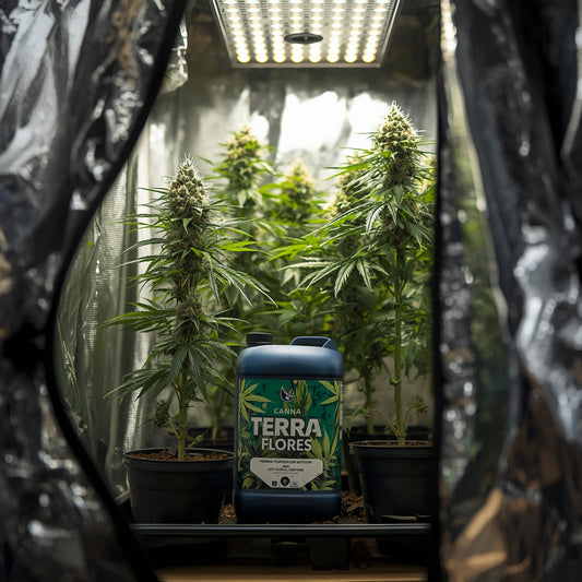 Canna Terra Flores (1L)