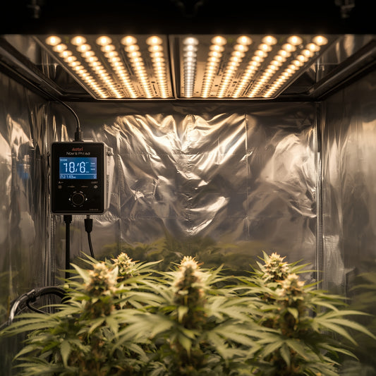 Digital Timer – Weekly Program (230 V, EU)