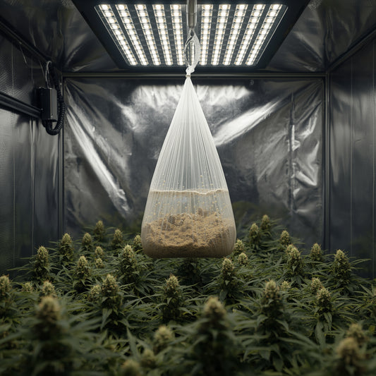 CO₂ Bag (Mycelium Based)