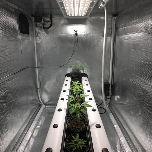 NFT Hydroponic System – 1.2 m