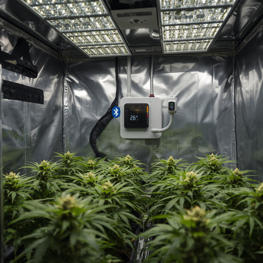 Bluetooth Grow Room Sensor Pack