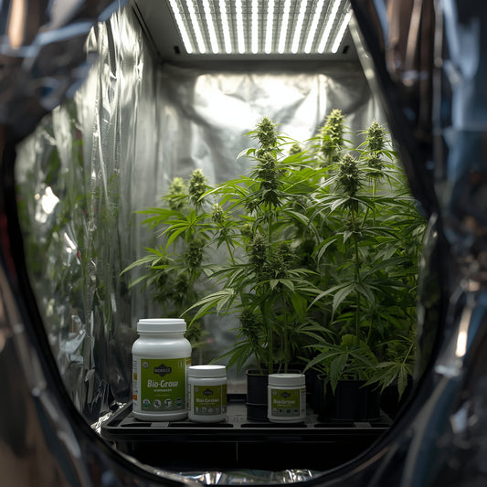 Biobizz Bio-Grow (1L)