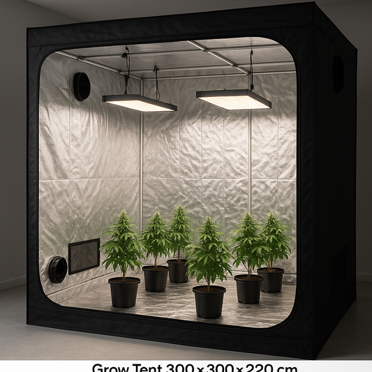 Grow Tent 300×300×220 cm – XL Lightproof Diamond Mylar