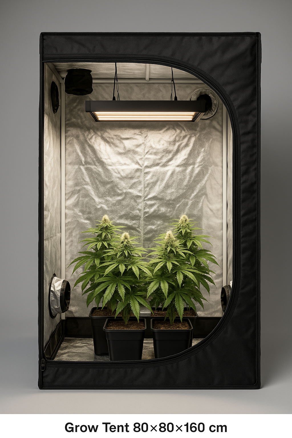 Grow Tent 80×80×160 cm – Lightproof Mylar Reflective