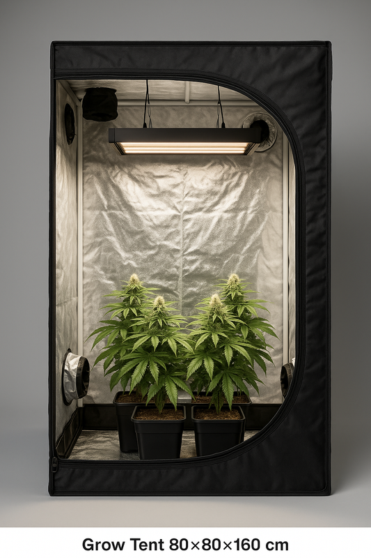 Grow Tent Kit 80×80×160 – LED Light & Ventilation Bundle