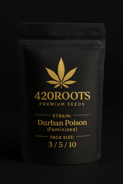 Durban Poison (Feminized) – Dutch Passion