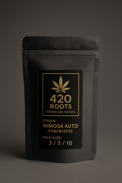 Mimosa Auto (Feminized Autoflower) – RQS