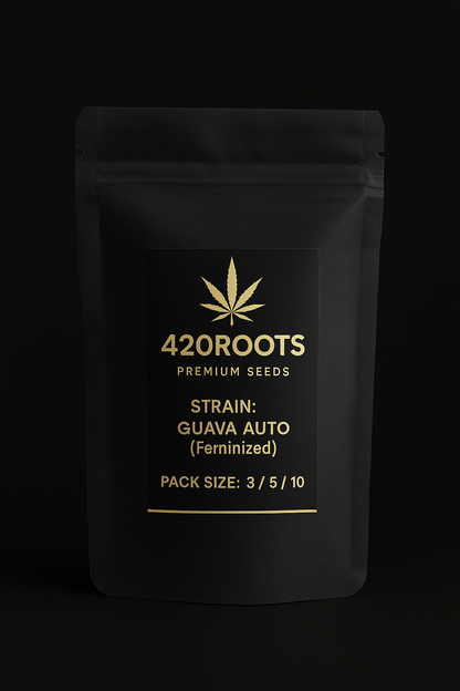 Guava Auto (Feminized Autoflower) – Fast Buds