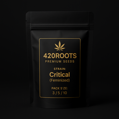 Critical (Feminized) – RQS