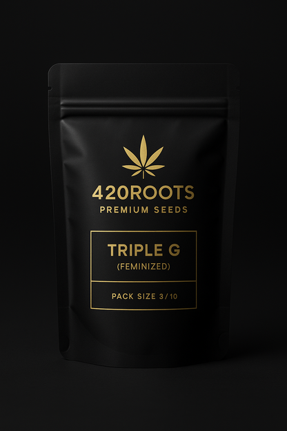 Triple G (Feminized) – Gorilla Glue #4 × Gelato (RQS)