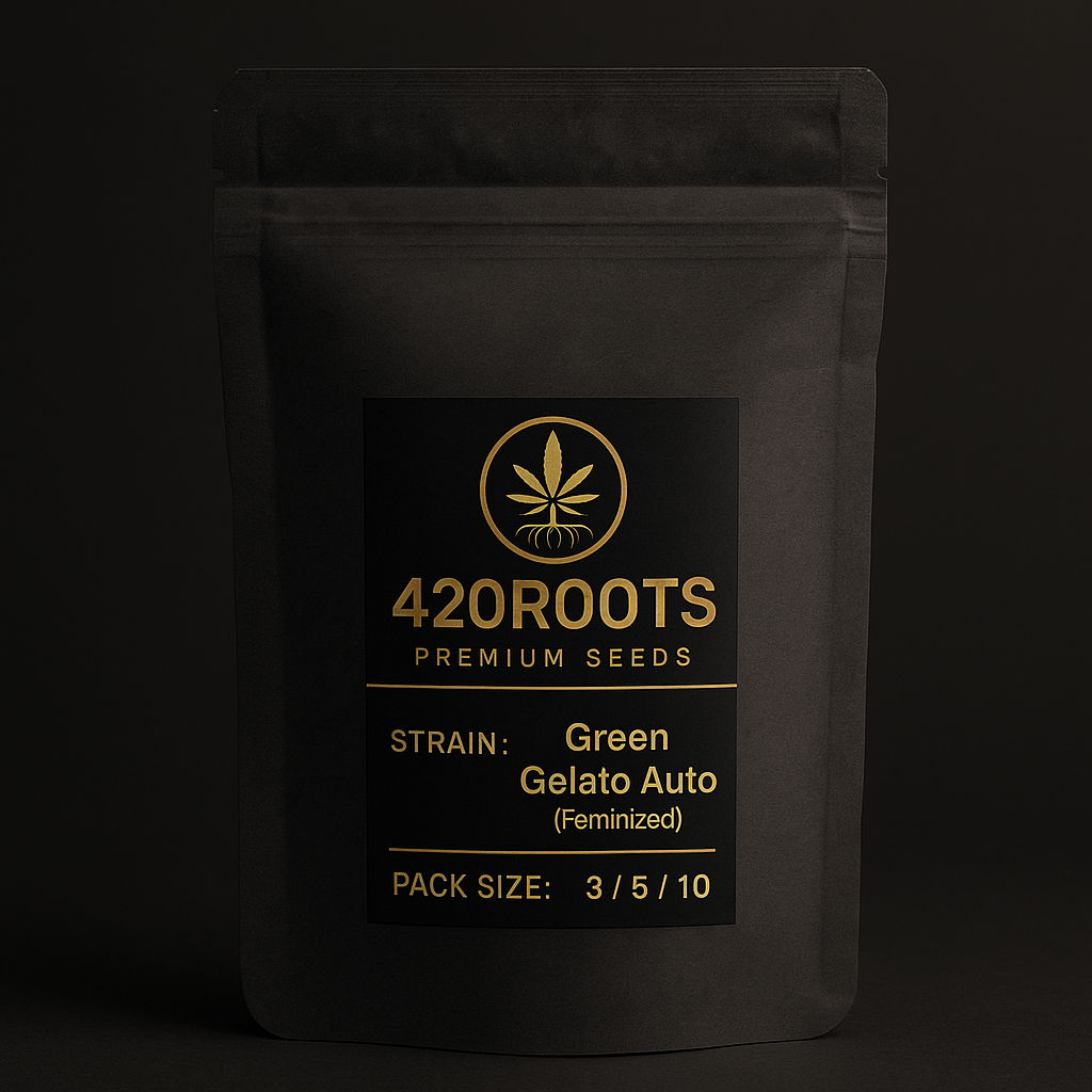 Green Gelato Auto (Feminized Autoflower) – RQS