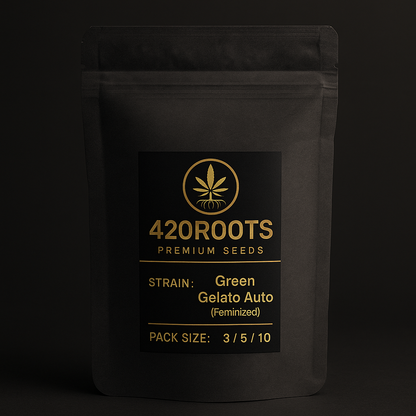 Green Gelato Auto (Feminized Autoflower) – RQS
