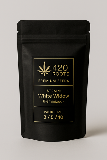 White Widow (Feminized) – RQS