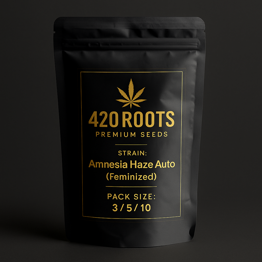 Amnesia Haze Auto (Feminized Autoflower) – RQS