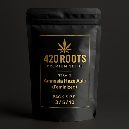 Amnesia Haze Auto (Feminized Autoflower) – RQS