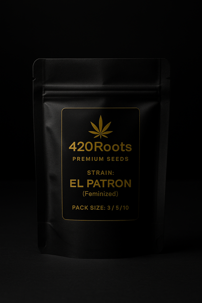 El Patron (Feminized) – RQS