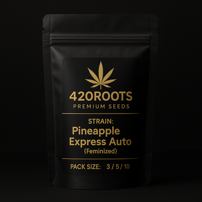Pineapple Express Auto (Feminized Autoflower) – Fast Buds / Barney’s Farm (EU)