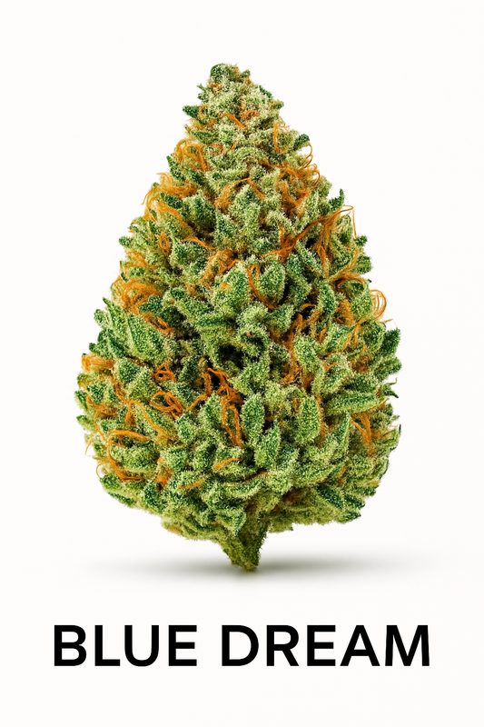 Blue Dream – Feminized