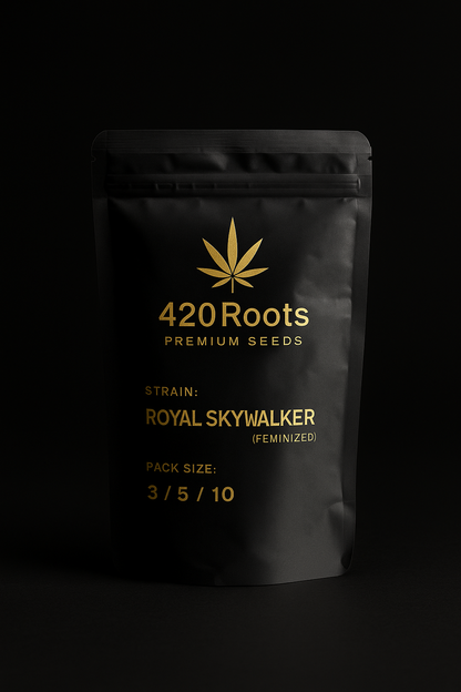 Royal Skywalker (Feminized) – RQS