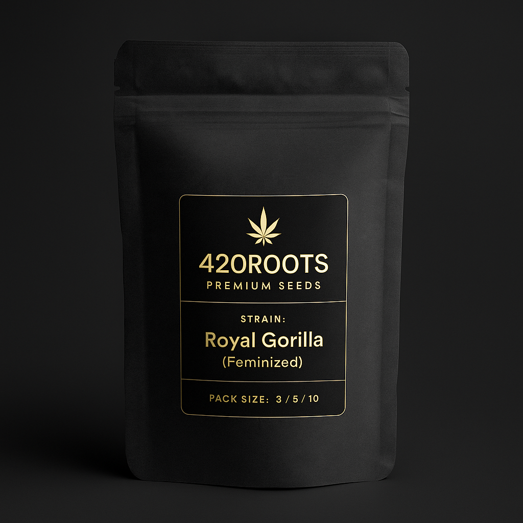 Royal Gorilla (Feminized) – RQS