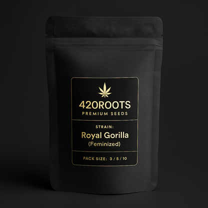 Royal Gorilla (Feminized) – RQS