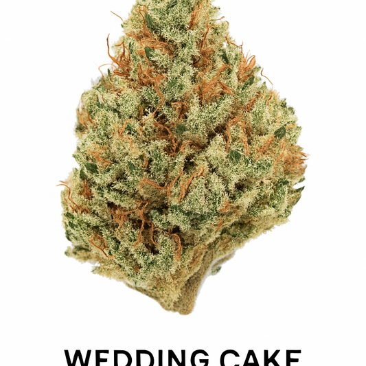 Wedding Cake – Feminized Cannabis Seeds