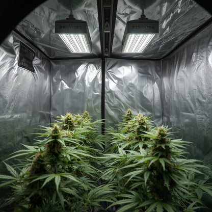 Dark Room Tent 240×120×200 cm – Lightproof Diamond Mylar