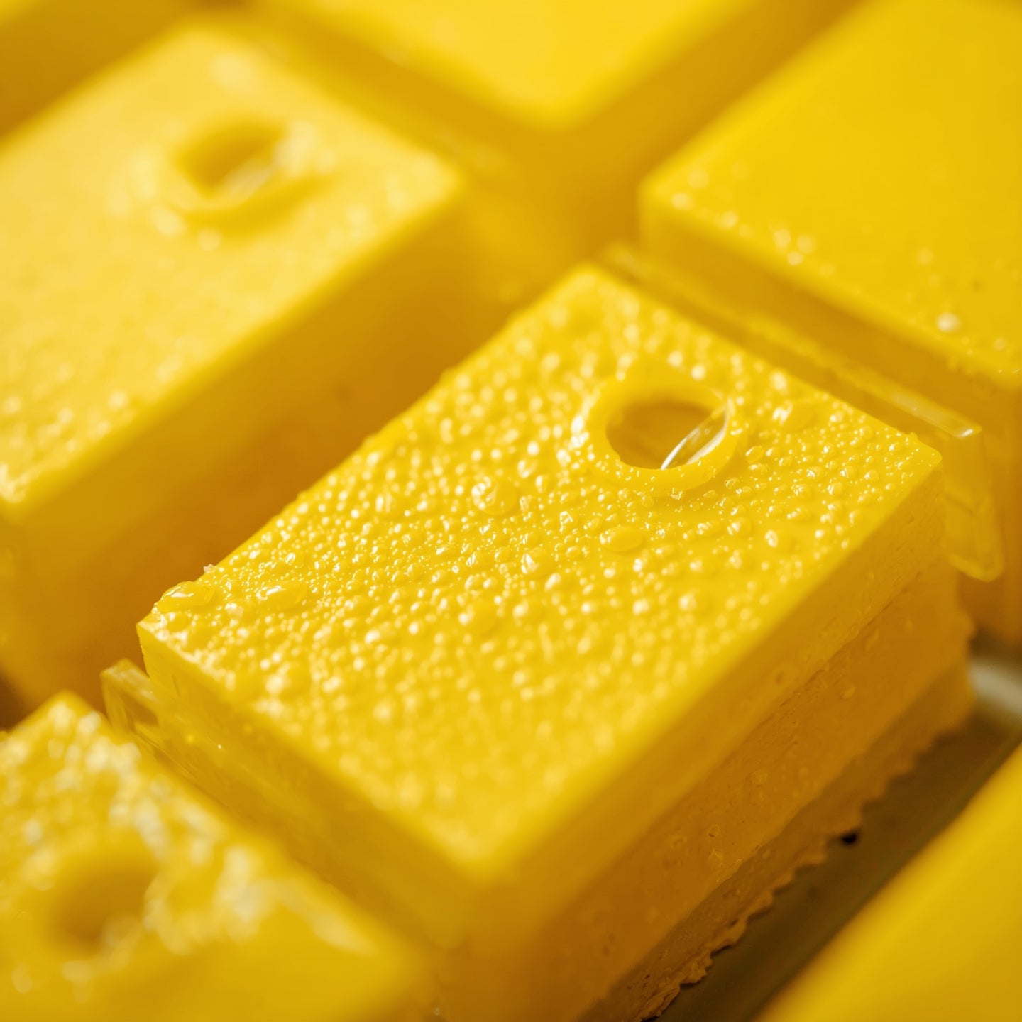 Greenhouse Sticky Traps (Yellow 20 Pack)