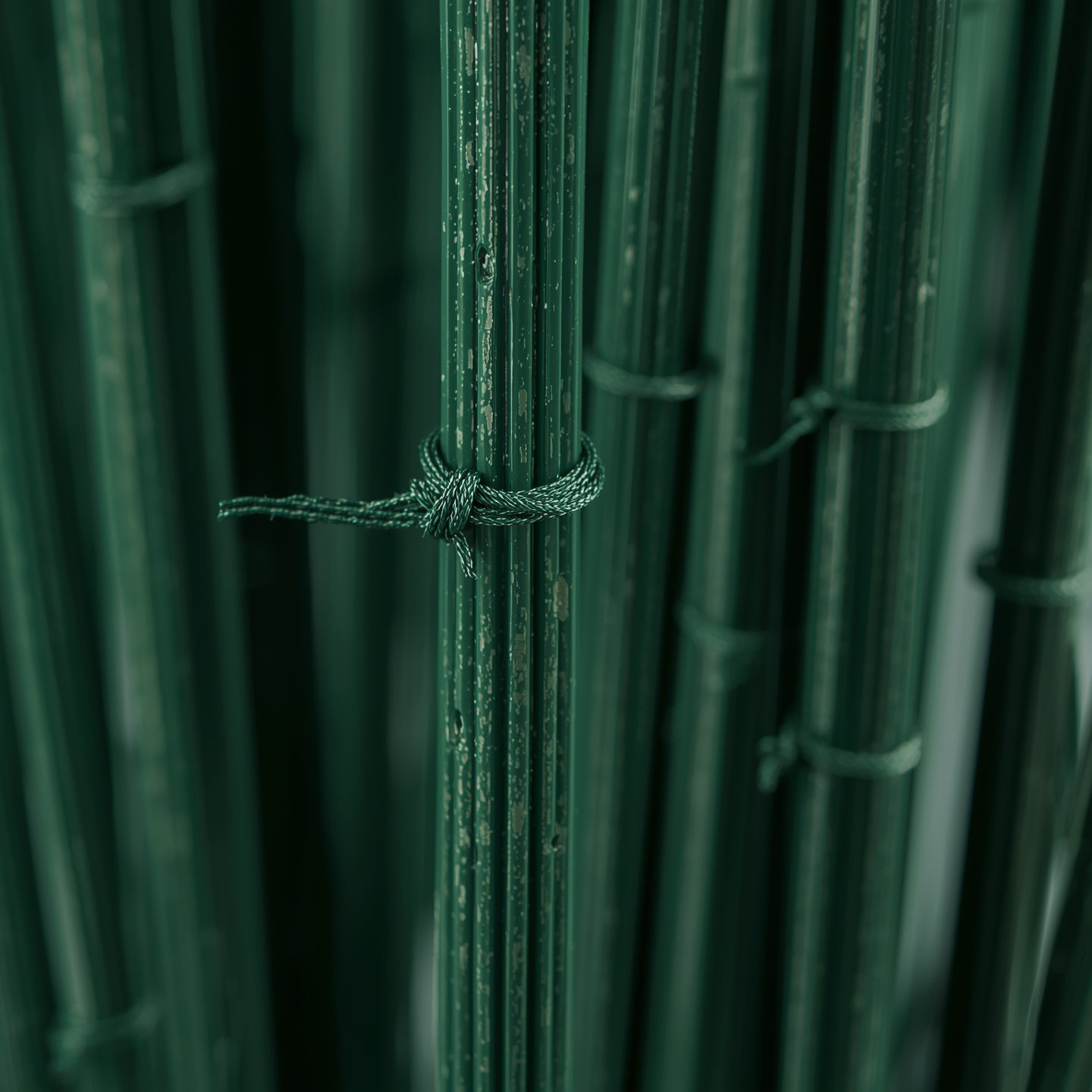 Plant Support Stakes 60cm (10 Pack)