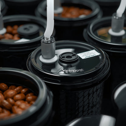 Hydroponic Bucket System – 8 Buckets