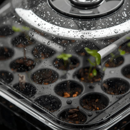 Propagation Tray with Dome (Small)