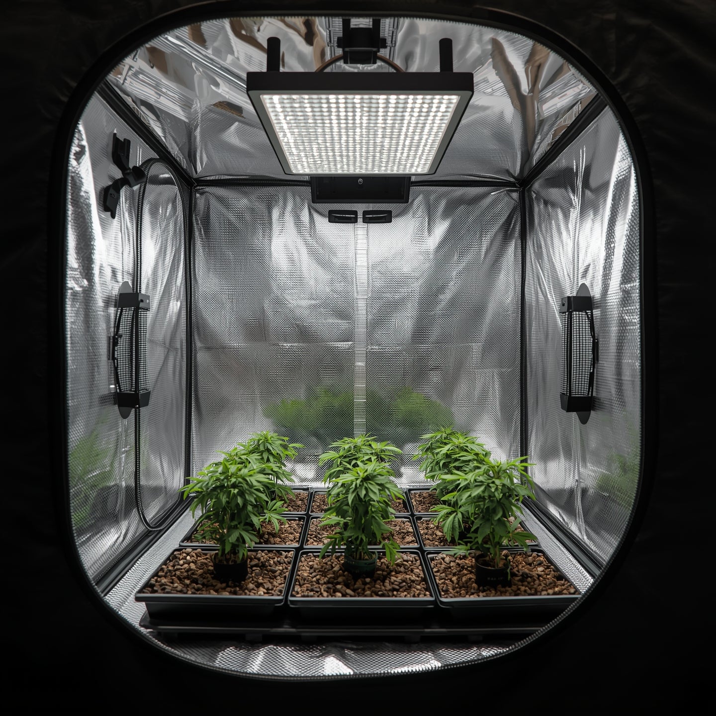 Propagation Tent 120×60×120 cm – Lightproof Mylar Veg/Clone