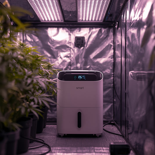 Smart Dehumidifier 10L