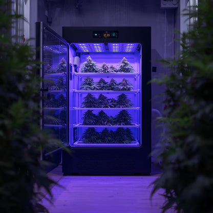 Smart Drying Cabinet – 2m²