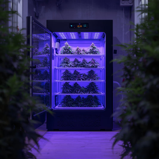 Smart Drying Cabinet – 2m²