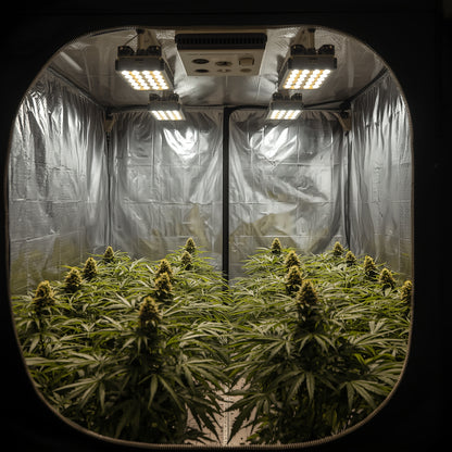 Dark Room Tent 300×150×220 cm – Heavy-Duty Lightproof