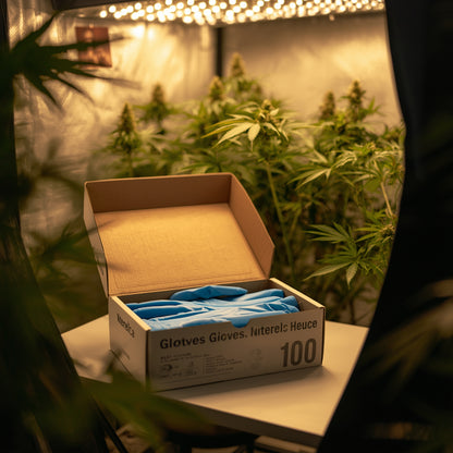 Gloves Nitrile Pack (100)