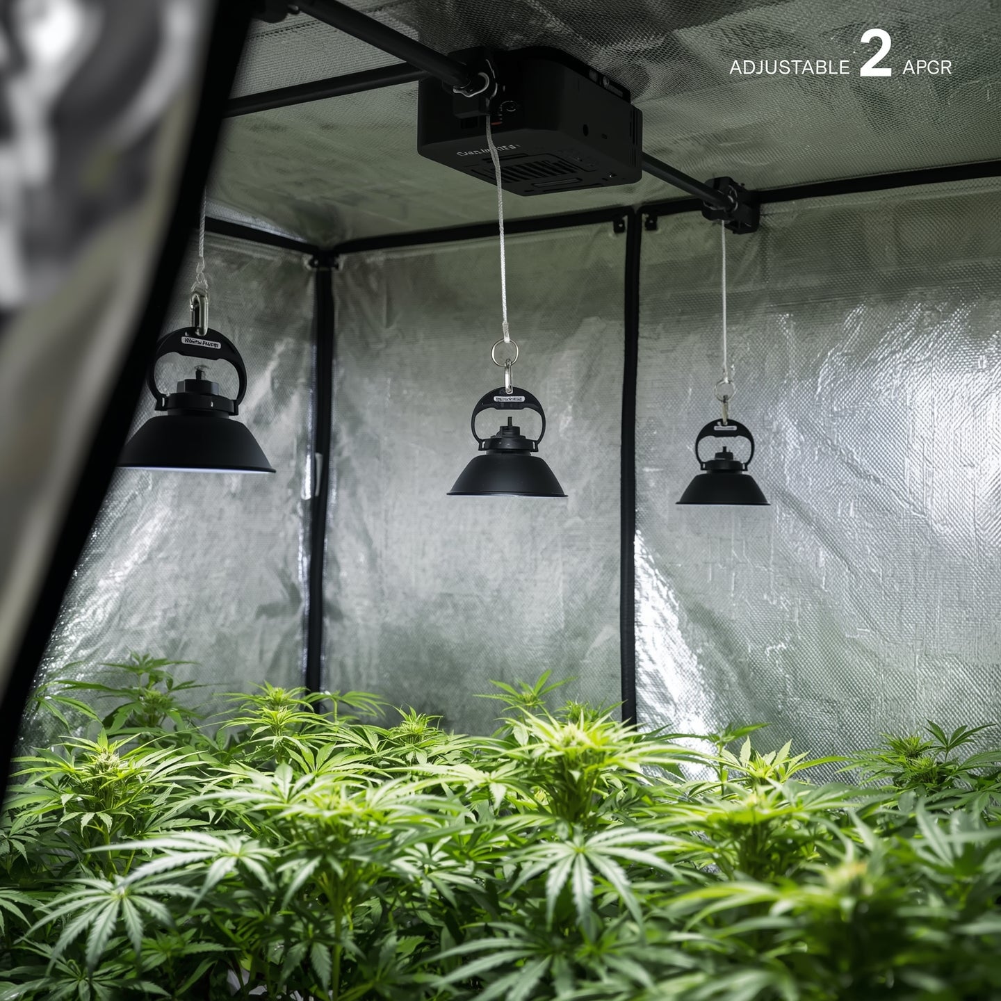 Light Hangers Adjustable (2 Pack)