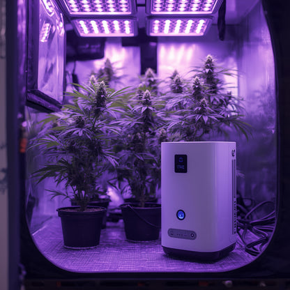 Ozone Generator – Small Room