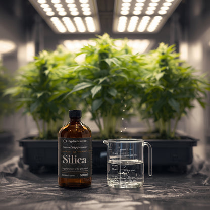 Silica Supplement 500ml