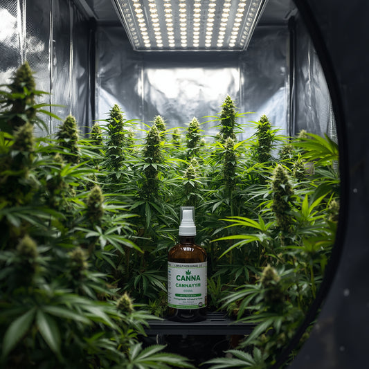 Canna Cannazym (500ml)