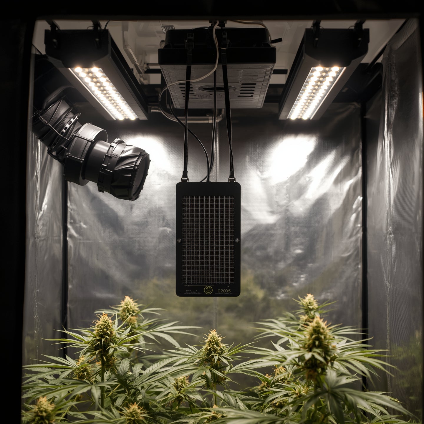 Carbon Filter 100 mm (4″) – Odor Control for Grow Tents (Black)