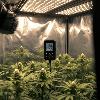 Digital Hygrometer LCD