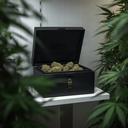 Storage Box Smell-Proof with Lock