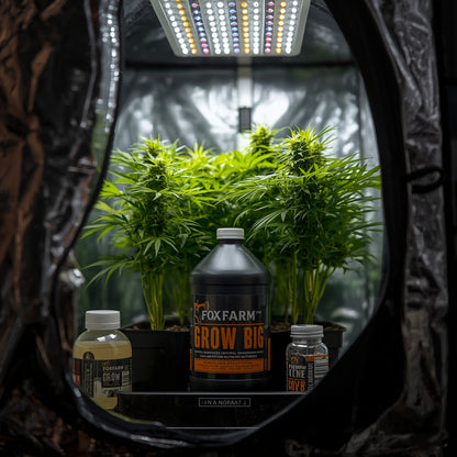 FoxFarm Grow Big (1L)