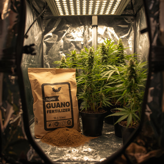 Organic Bat Guano Fertilizer (1kg)