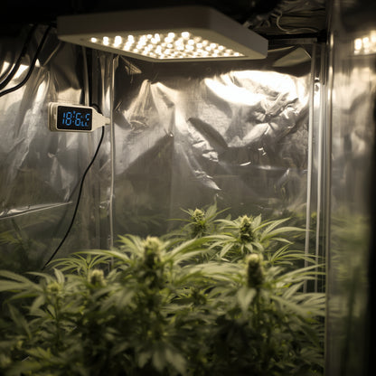 Smart Plug – Programmable for Lights (230 V, EU)