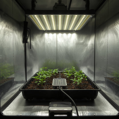 Propagation LED 40W Bar