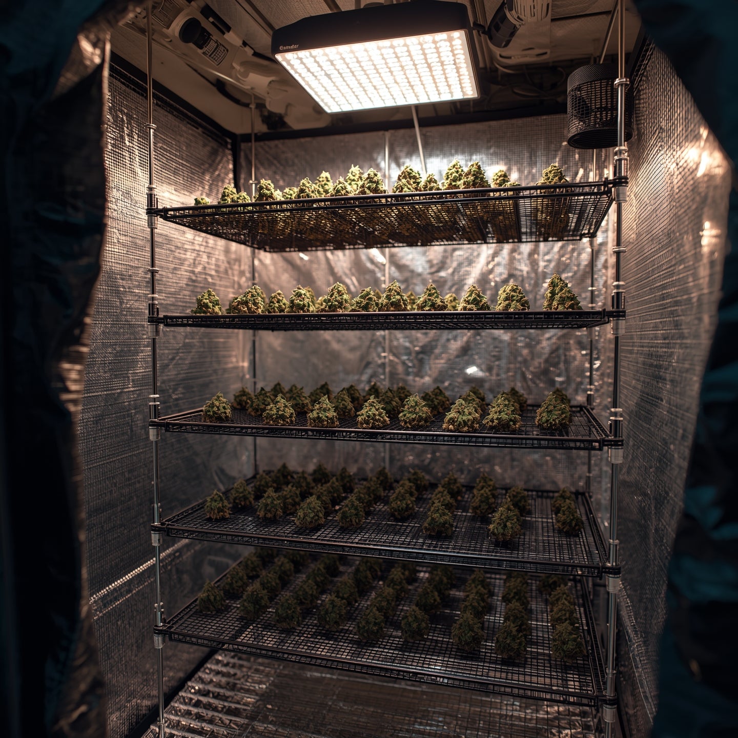 Drying Net Rack – 6 Layers